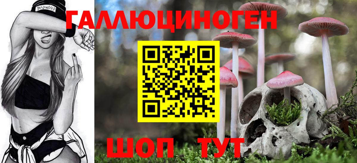 Псилоцибиновые грибы Psilocybine cubensis  Вход с VPN  Галлюциногенные грибы Psilocybine cubensis  Десногорск 